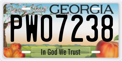 GA license plate PWO7238