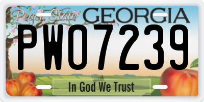 GA license plate PWO7239