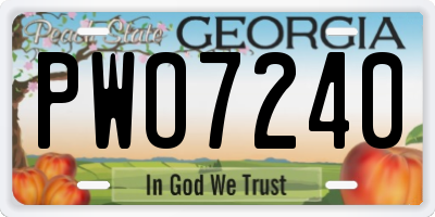 GA license plate PWO7240