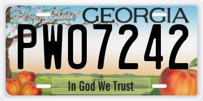 GA license plate PWO7242
