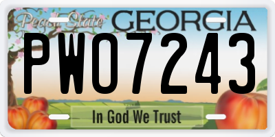 GA license plate PWO7243