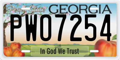 GA license plate PWO7254