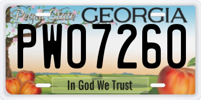 GA license plate PWO7260