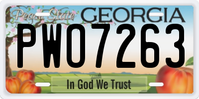 GA license plate PWO7263