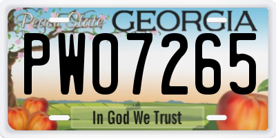 GA license plate PWO7265