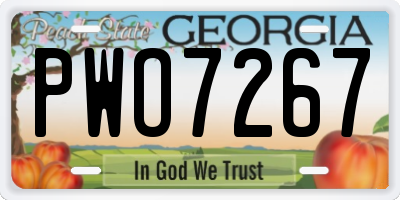 GA license plate PWO7267