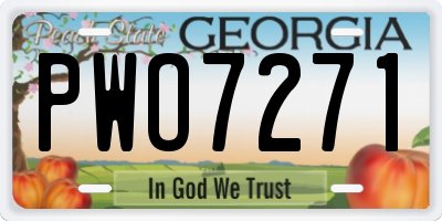 GA license plate PWO7271