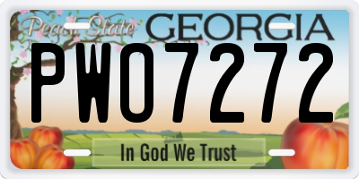 GA license plate PWO7272