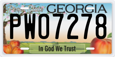 GA license plate PWO7278