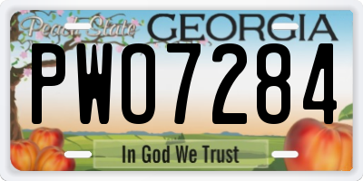 GA license plate PWO7284
