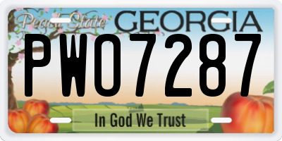 GA license plate PWO7287