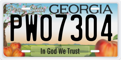 GA license plate PWO7304