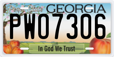 GA license plate PWO7306
