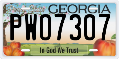GA license plate PWO7307
