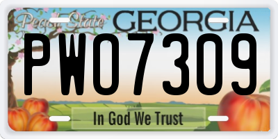 GA license plate PWO7309