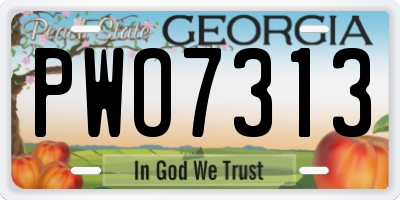 GA license plate PWO7313