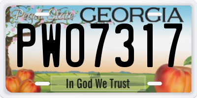 GA license plate PWO7317