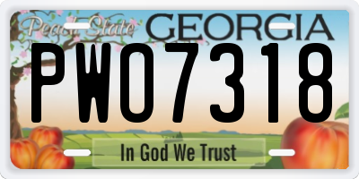 GA license plate PWO7318