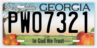 GA license plate PWO7321