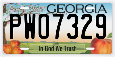 GA license plate PWO7329