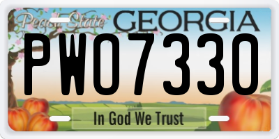 GA license plate PWO7330