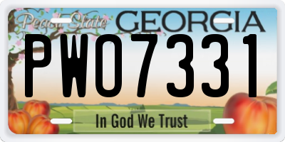 GA license plate PWO7331
