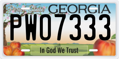 GA license plate PWO7333