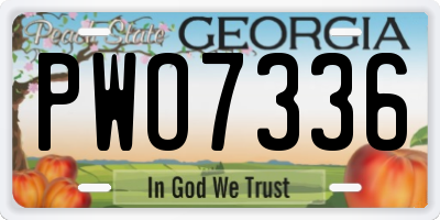 GA license plate PWO7336