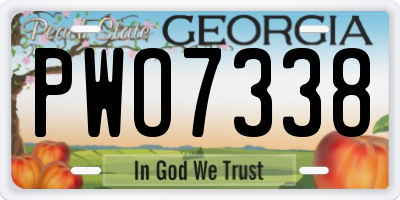 GA license plate PWO7338