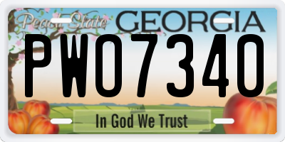GA license plate PWO7340
