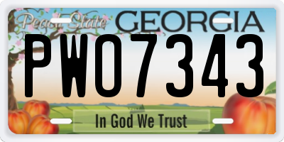 GA license plate PWO7343