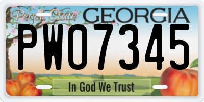 GA license plate PWO7345