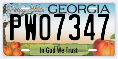 GA license plate PWO7347