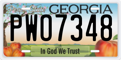GA license plate PWO7348