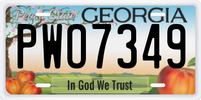 GA license plate PWO7349