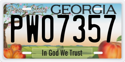 GA license plate PWO7357
