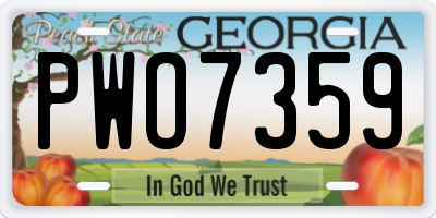 GA license plate PWO7359