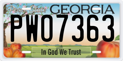 GA license plate PWO7363