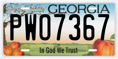 GA license plate PWO7367