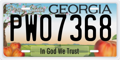 GA license plate PWO7368