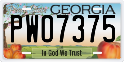 GA license plate PWO7375