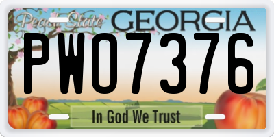 GA license plate PWO7376