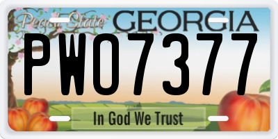 GA license plate PWO7377