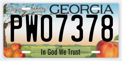 GA license plate PWO7378