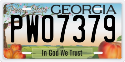 GA license plate PWO7379