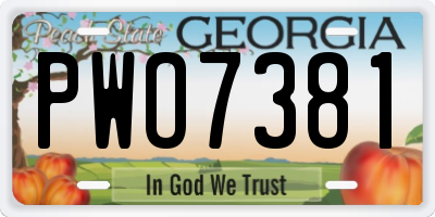 GA license plate PWO7381