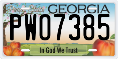 GA license plate PWO7385