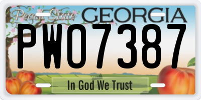 GA license plate PWO7387