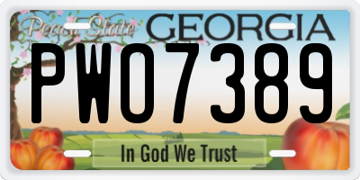 GA license plate PWO7389