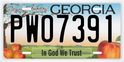 GA license plate PWO7391